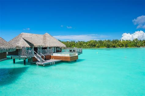 tropical destination with overwater bungalows codycross|Tropical destination with over.